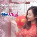 ネトチャイ　Netchai　中国語